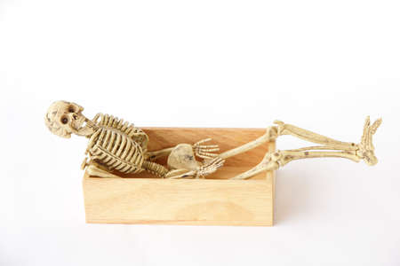 Skeleton in wood box ,Still life on white backgroundの写真素材