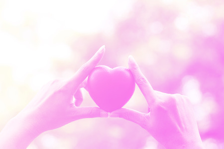 Heart in hands on nature backgroundの写真素材