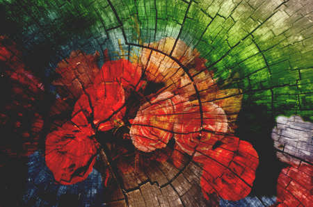 Tree Stump Backgroundの写真素材