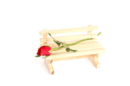 red roses in  vase isolated on white backgroundの写真素材