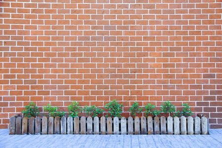 Tree and brick wall background , brick wall and ornamental backgroundの写真素材