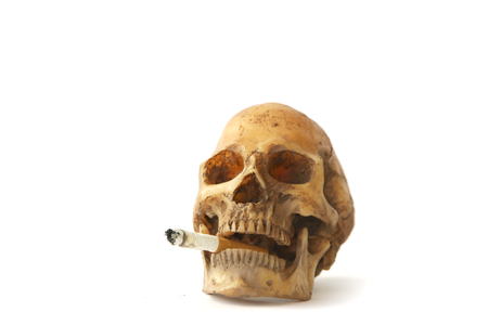 Left side view of human skull open mouth on isolated white backgroundの写真素材
