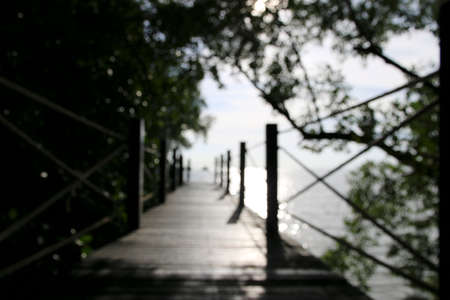 Wooden bridge in the forest. Vintage filter dark shadowの写真素材