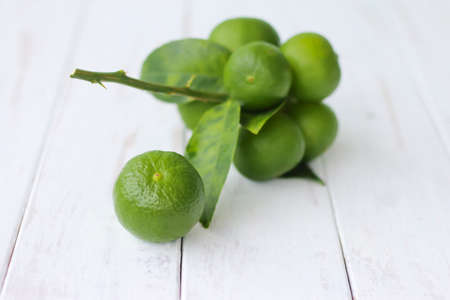 Lemons with leaves on a white background.