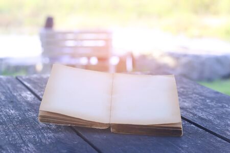 Open book with flipped pages, in the park. Selective focus, green nature background