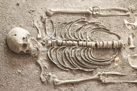 2000 year ago. grave burial skeleton human bonesの写真素材