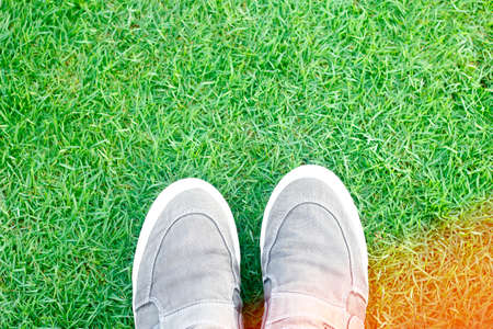 Stock Photo - Sneakers shoes on the grass with copy spaceの写真素材