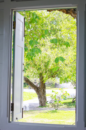 nature landscape with a view through a windowの写真素材