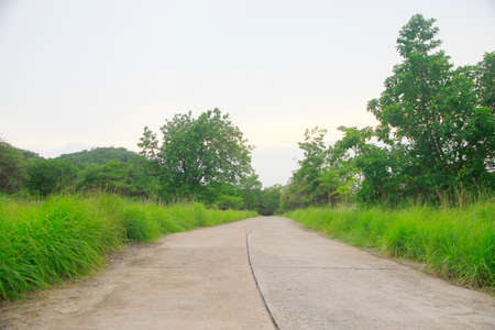 Path to Success Concept Background Nature Parkの写真素材