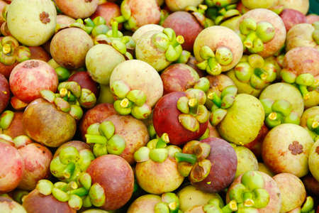 Fresh mangosteen form the garden