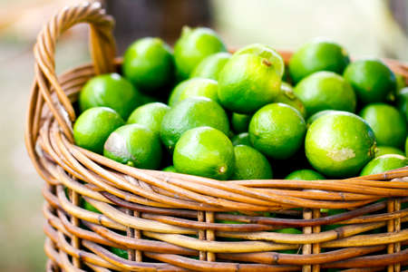Limes in a basket on background with copy spaceの写真素材