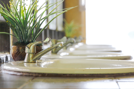 Silver tap and white sink close up with a green plant, very clean place with perfect lightning, walls.の写真素材