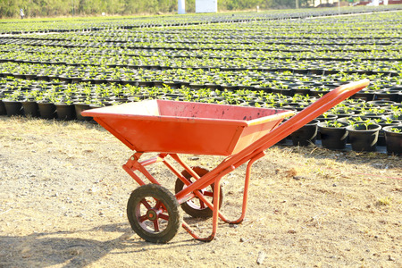 Trolley for construction and gardening.の写真素材