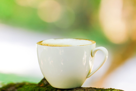 White hot cup of Latte coffee on wooden tree in shadow shade of tree.の写真素材