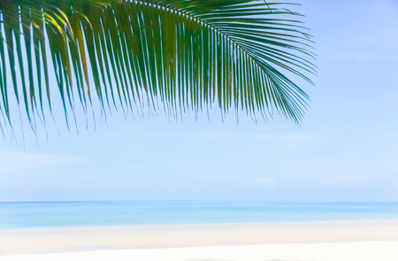 Summer Holidays background. Palm leaves, fluffy clouds, blue sea, white sand. Tropical beach.の写真素材