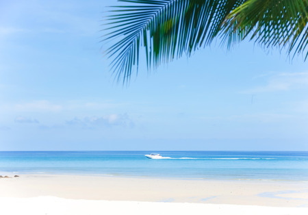 Summer Holidays background. Palm leaves, fluffy clouds, blue sea, white sand. Tropical beach.の写真素材