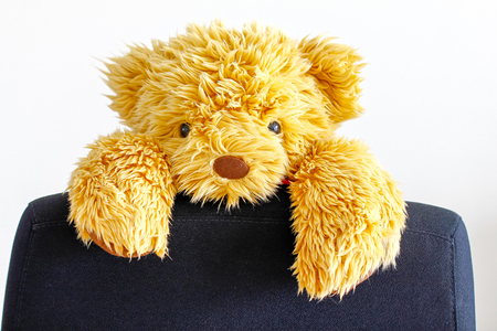 bear doll clamp on working Chair on white backgroundの写真素材