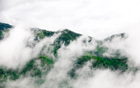 Evergreen forests on mountain slopes enveloped in low lying cloud for a dreamy landscapeの写真素材