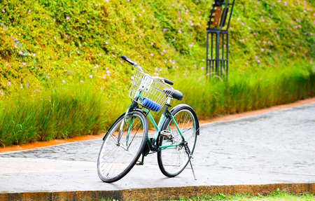 bicycle in the garden and cherry bloomの写真素材