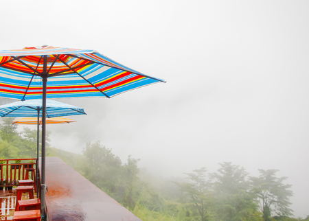 Striped umbrellas at city alleyの写真素材