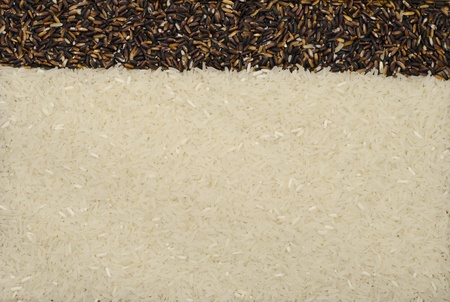 Background of organic rices.の写真素材