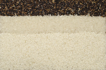 Background of organic rices.の写真素材