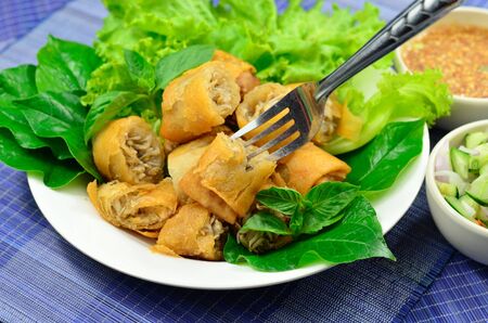 Springrolls traditional fried appetizer Vietnam cuisine の写真素材