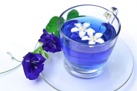 Isolated of violet tea with flowers の写真素材