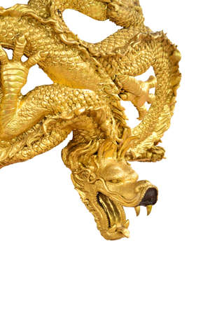 isolated of golden dragonの写真素材