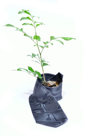 Tree growing on baht coins with necktie pot の写真素材