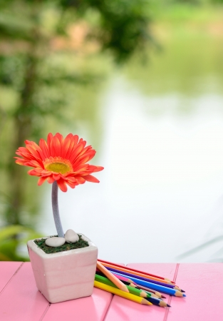 Flower and color pencil on table の写真素材