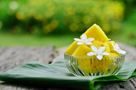 Pineapple slice and flower at home gardenの写真素材