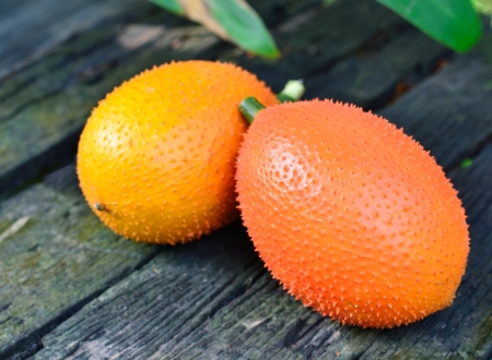 Asian Sweet Gourdの写真素材