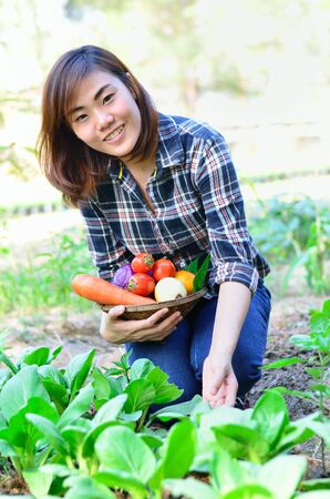 Beautiful asian women harvesting organic vegetablesの写真素材