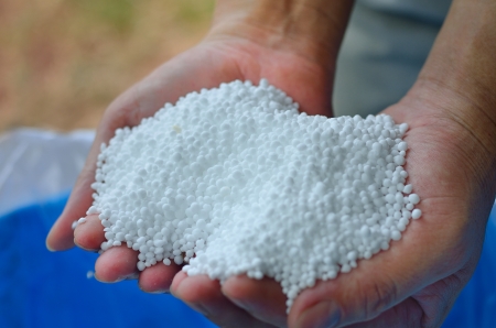 Urea,nitrogen chemical fertilizer on farmer handの写真素材