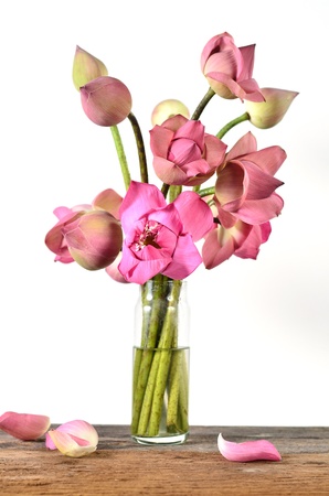 Still life pink lotus flowersの写真素材