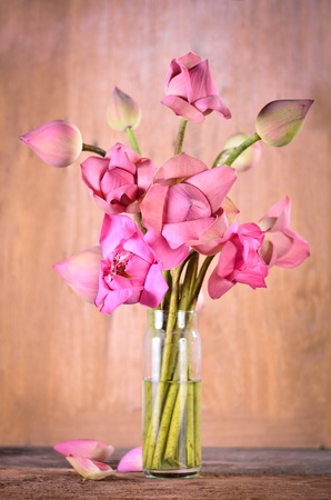 Still life pink lotus flowersの写真素材