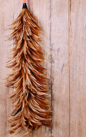 chicken feather duster on wood backgroundの写真素材