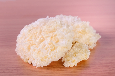 Tremella fuciformis Berk  Mushroom on wood backgroundの写真素材