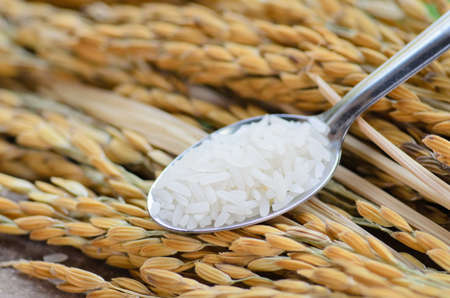 close up jasmine rice on spoon over gold grain 