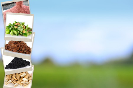 Agriculture mineral and fertilizer slide for Presentation background designの写真素材