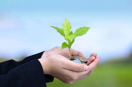Money, Tree,Coins, Business growing concept, Success, Hand holding young tree growing on coins stack and Blue Skyの写真素材
