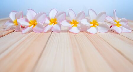 Spa flowers with wood background for art designの写真素材