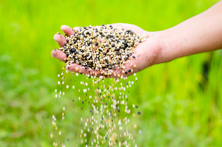 Farmer hand pouring plant chemical fertilizer over green backgroundの写真素材