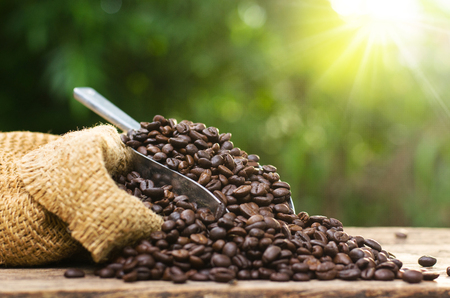 coffee bean bag and coffee roasted over nature green background and sunlight in morning timeの写真素材