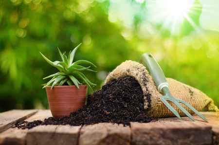cactus on plant pot with fertilizer bag over green background, Summer garden conceptの写真素材