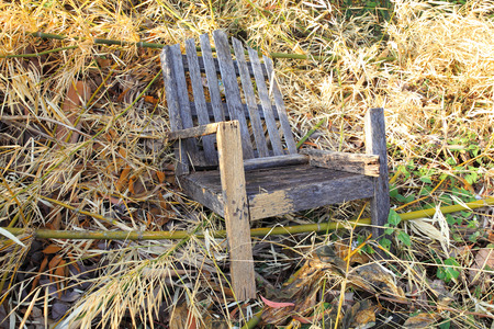 Chair on a path in the woods の写真素材