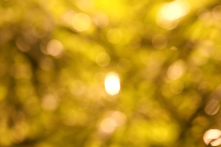 yellow bokeh abstract backgroundの写真素材