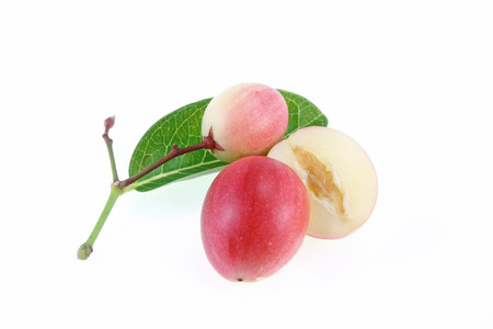 Super fruit (Carissa carandas Linn.) Thailand Herbsの写真素材