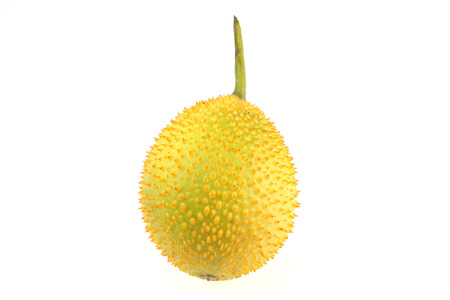 Gac fruit, Baby Jackfruit, Spiny Bitter Gourd, Sweet Grourd or Cochinchin Gourd